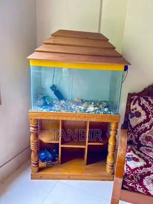 Fish Aquarium