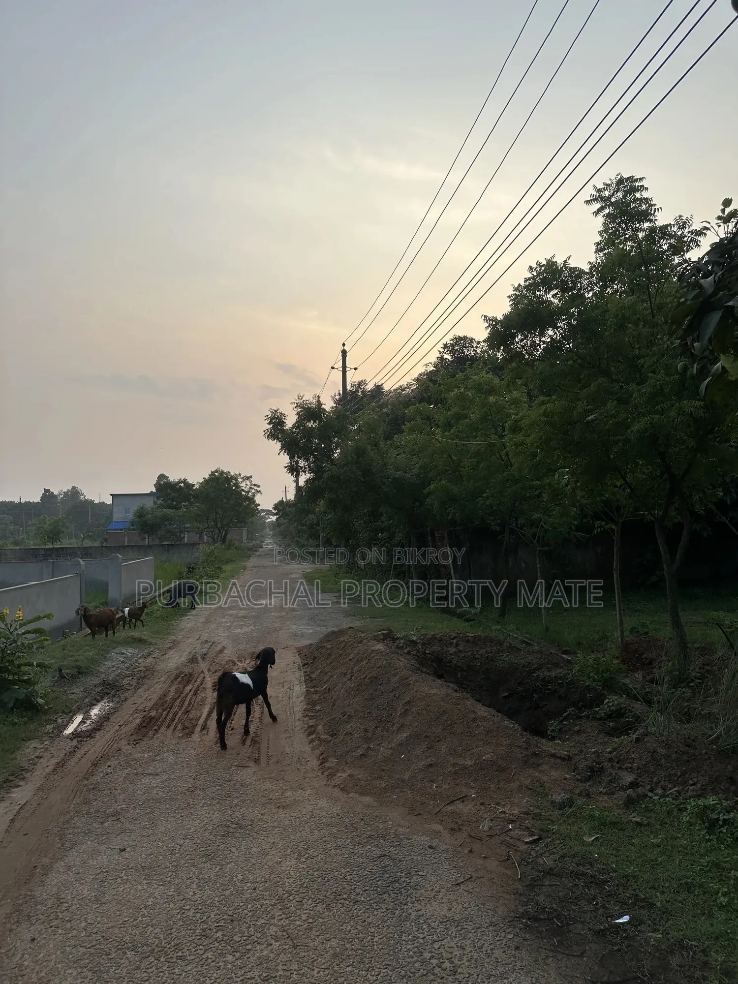 5 Katha South-Facing Boundary-Walled Plot for Sale in Purbachal Sector 11