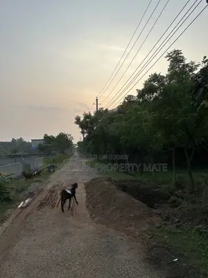 5 Katha South-Facing Boundary-Walled Plot for Sale in Purbachal Sector 11