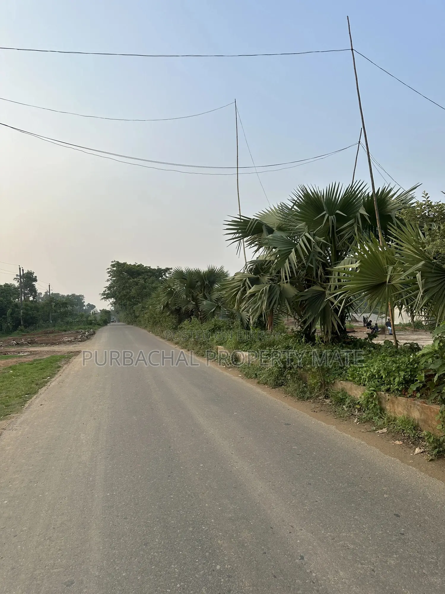 5 Katha South-Facing Boundary-Walled Plot for Sale in Purbachal Sector 11