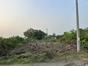 3 Katha South-facing plot for sale on 75ft Avenue in Purbachal Sector 20.