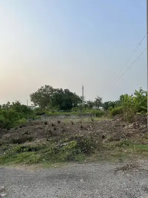 3 Katha South-facing plot for sale on 75ft Avenue in Purbachal Sector 20.