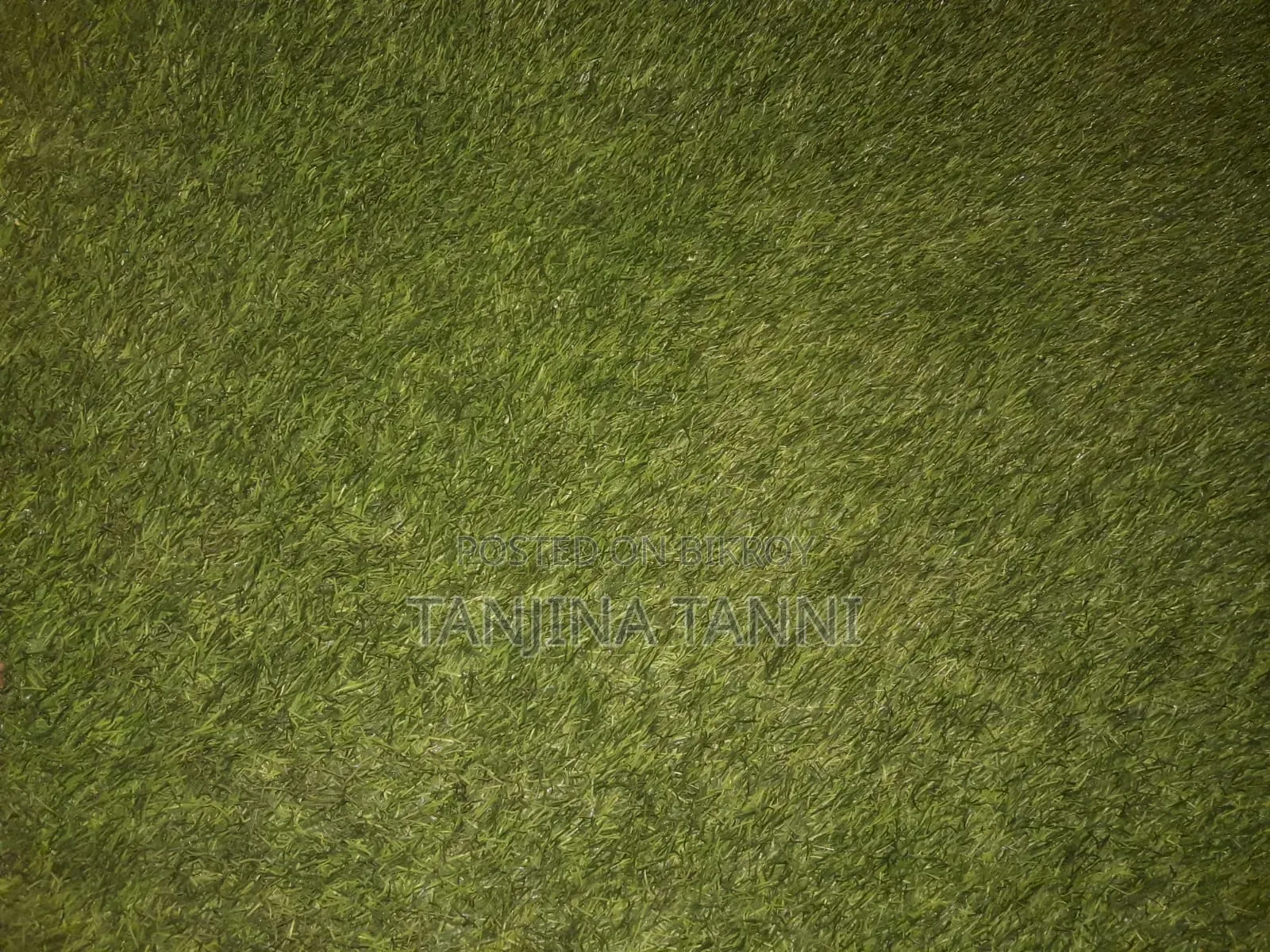 Grass Carpet
