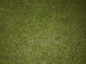 Gash Carpet