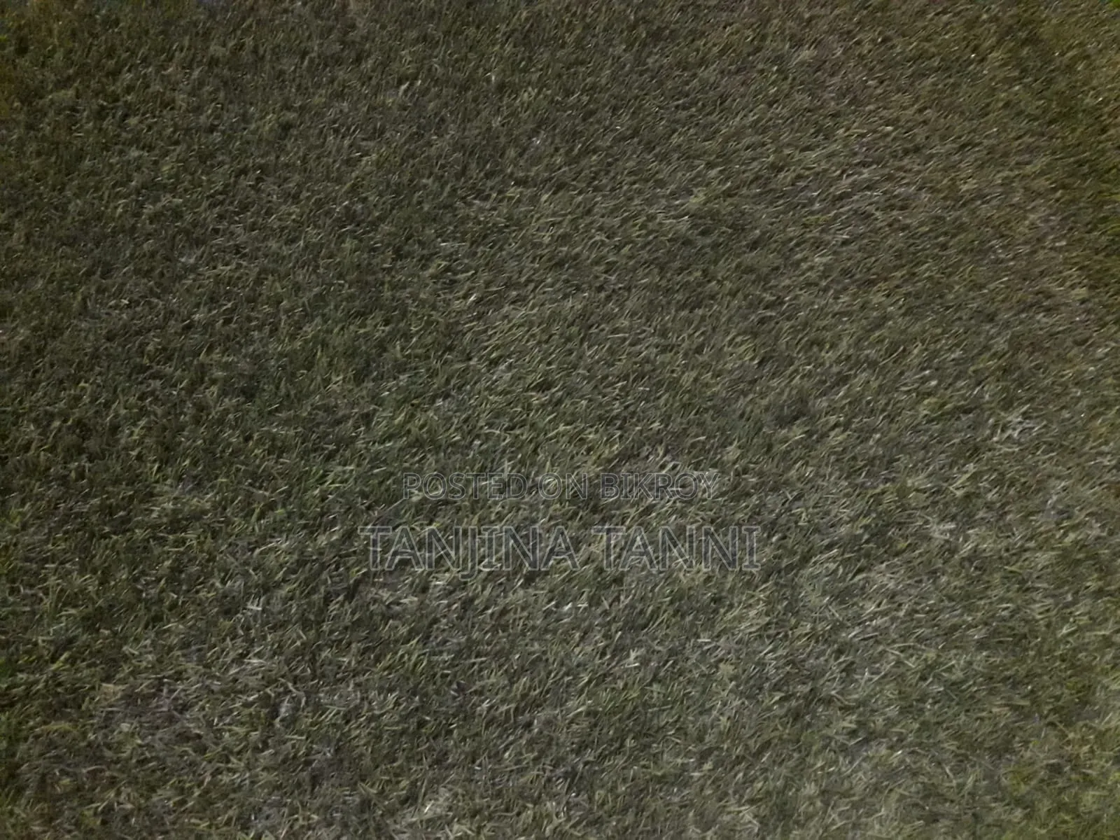 Grass Carpet