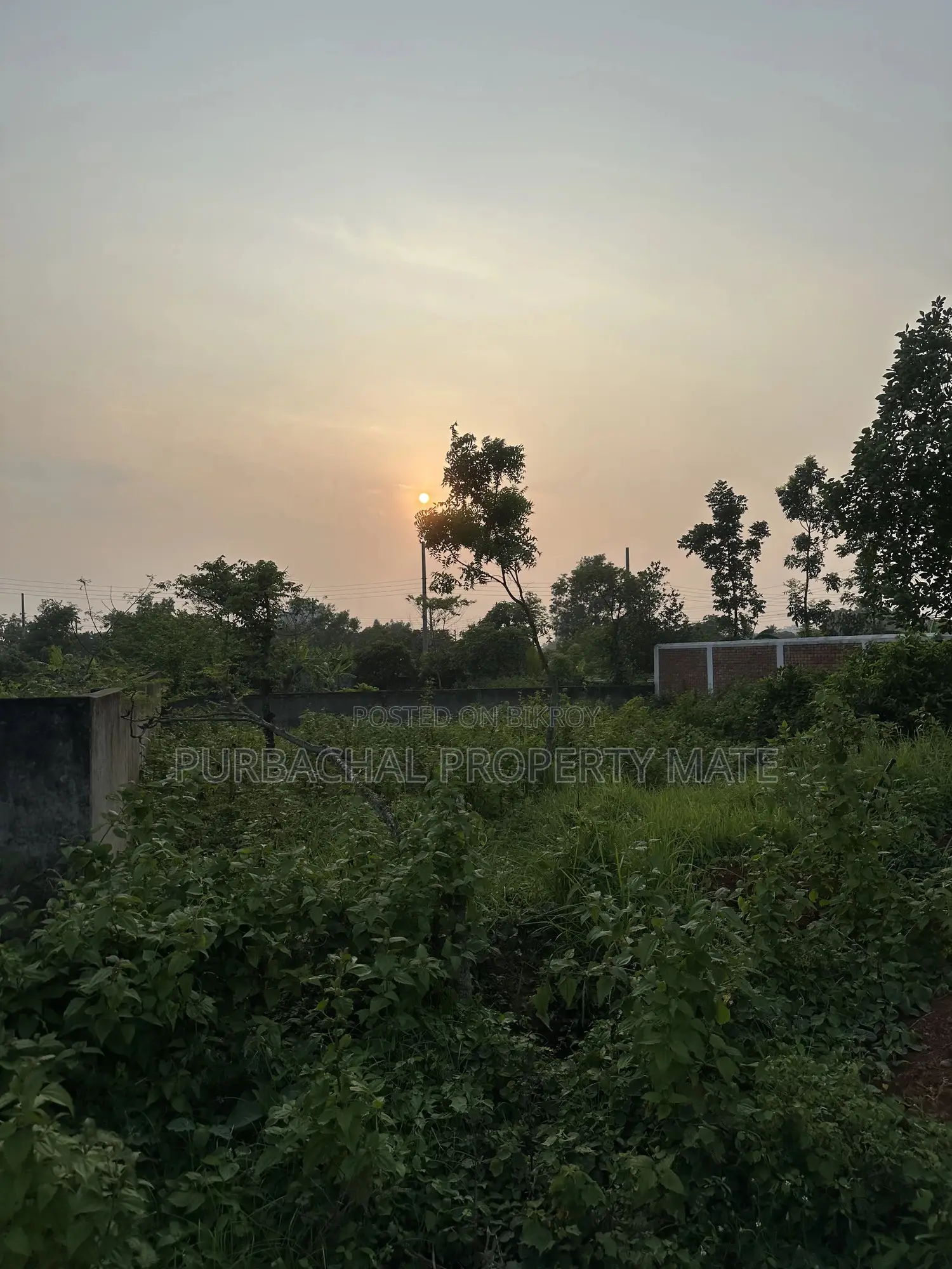 পূর্বাচল সেক্টর ১০ এ আকর্ষণীয় পূর্বমুখী দামে ৫ কাঠা প্লট বিক্রয়।