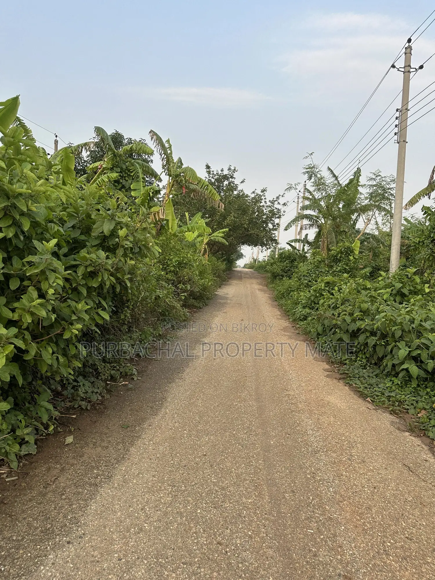 পূর্বাচল সেক্টর ১০ এ আকর্ষণীয় পূর্বমুখী দামে ৫ কাঠা প্লট বিক্রয়।
