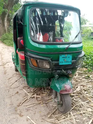 টিভিএস কিং ২০১০ গ্রিন