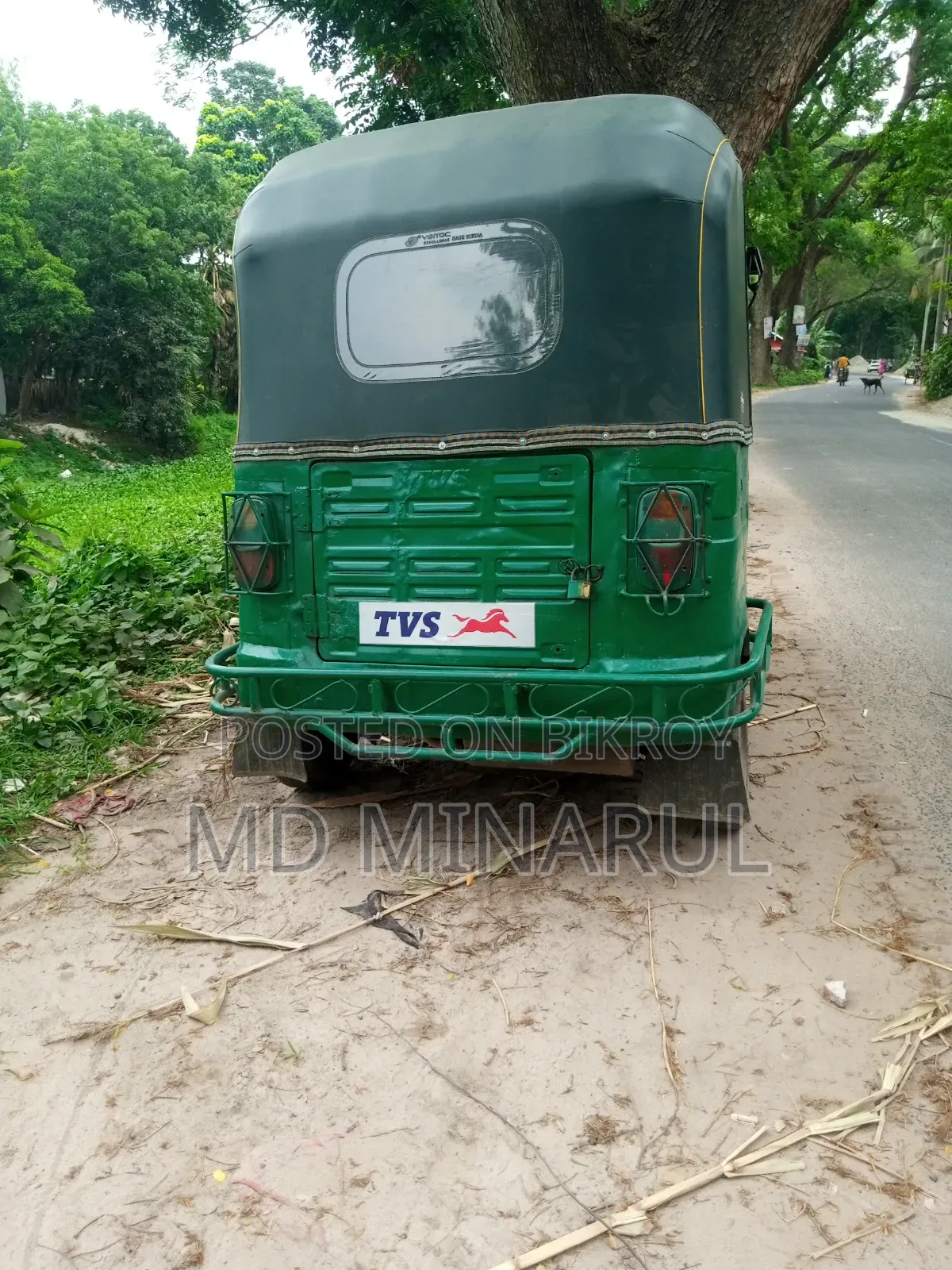 TVS King 2010 Green