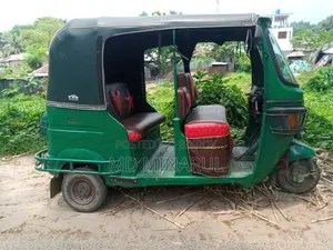 TVS King 2010 Green
