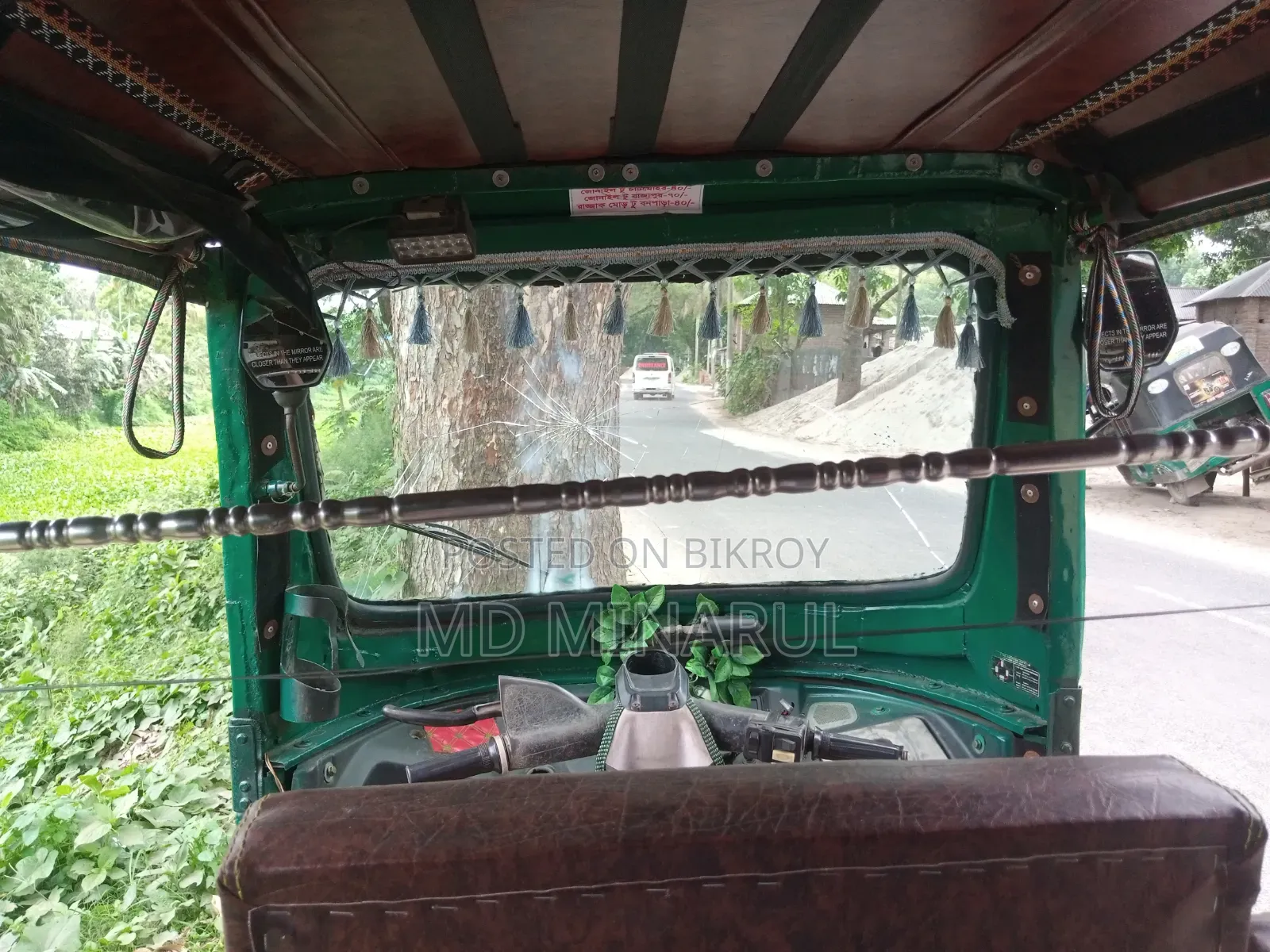TVS King 2010 Green