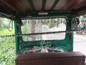 TVS King 2010 Green