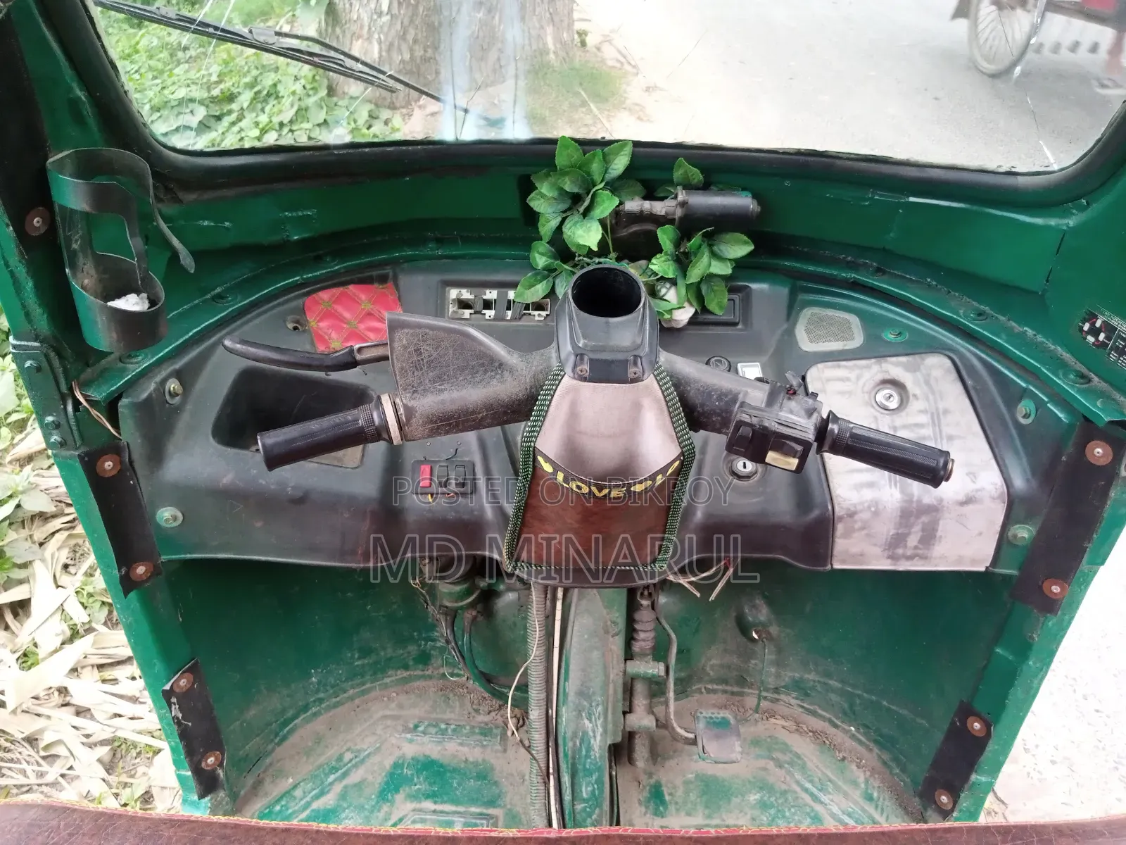 TVS King 2010 Green
