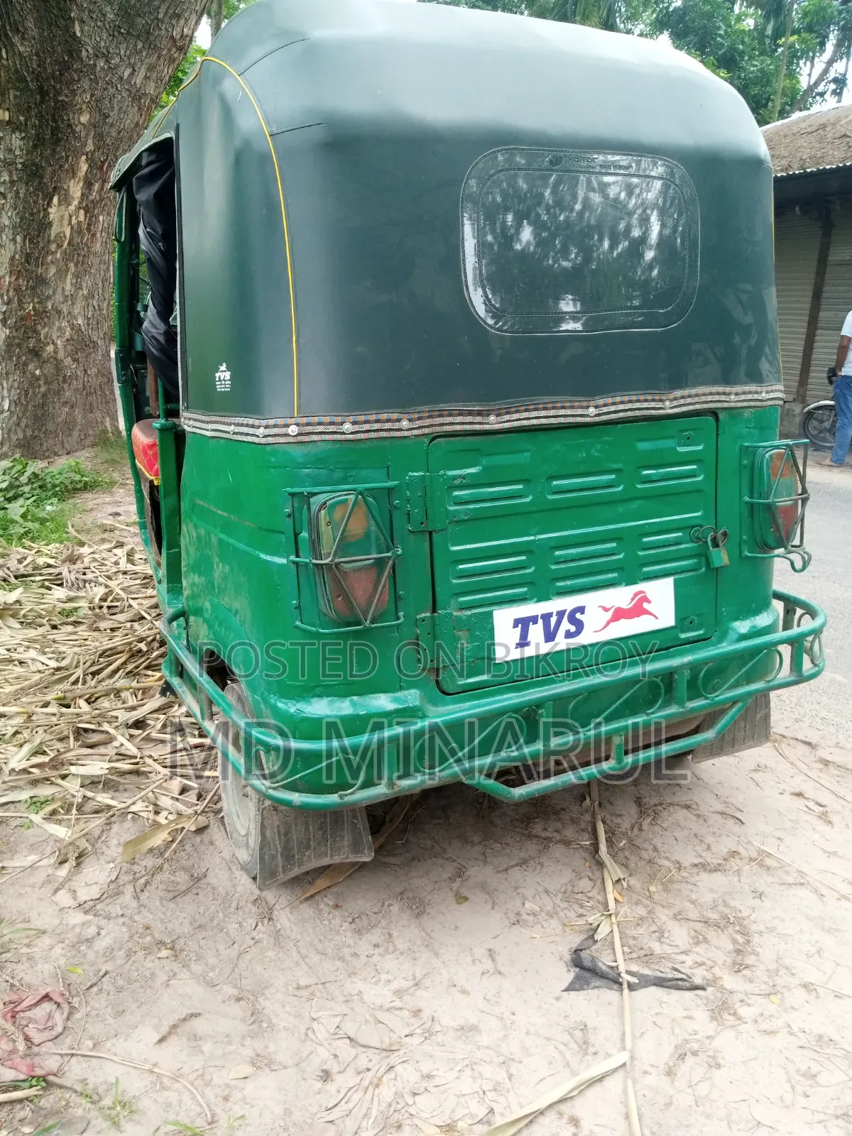 TVS King 2010 Green