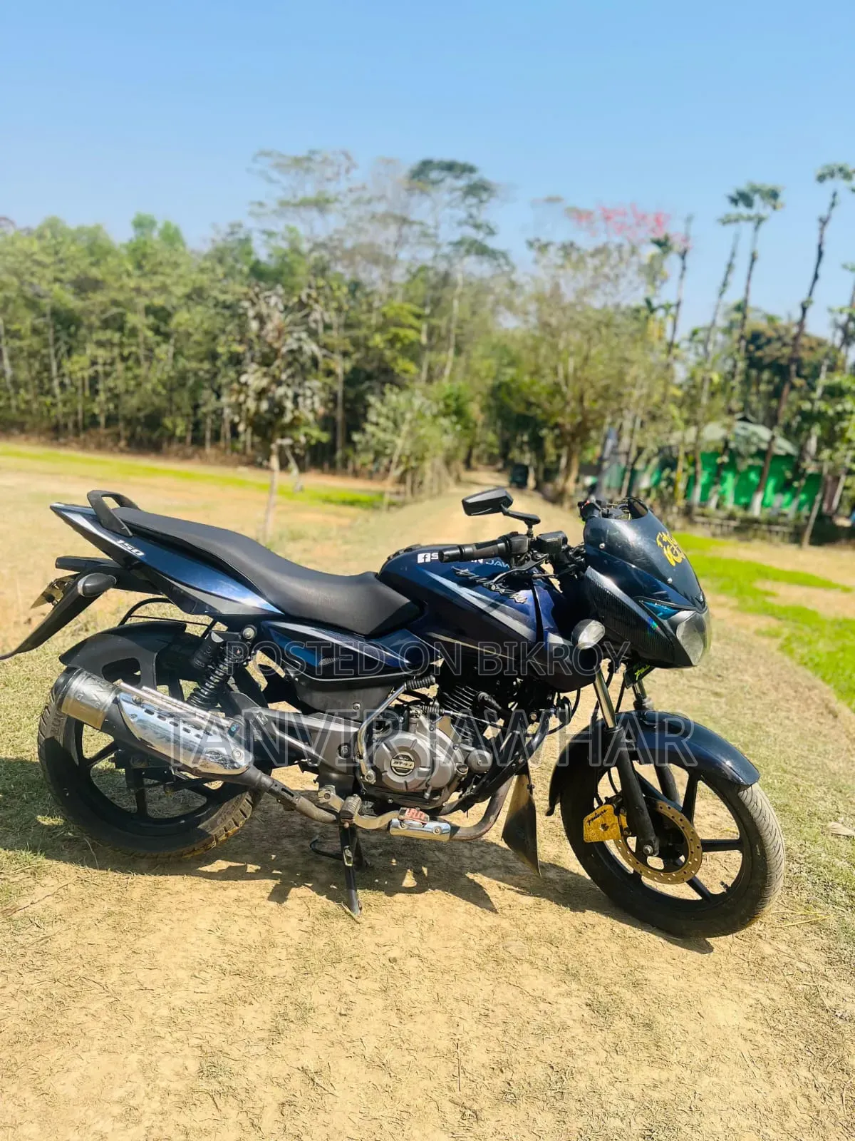 TVS King 2017 Blue