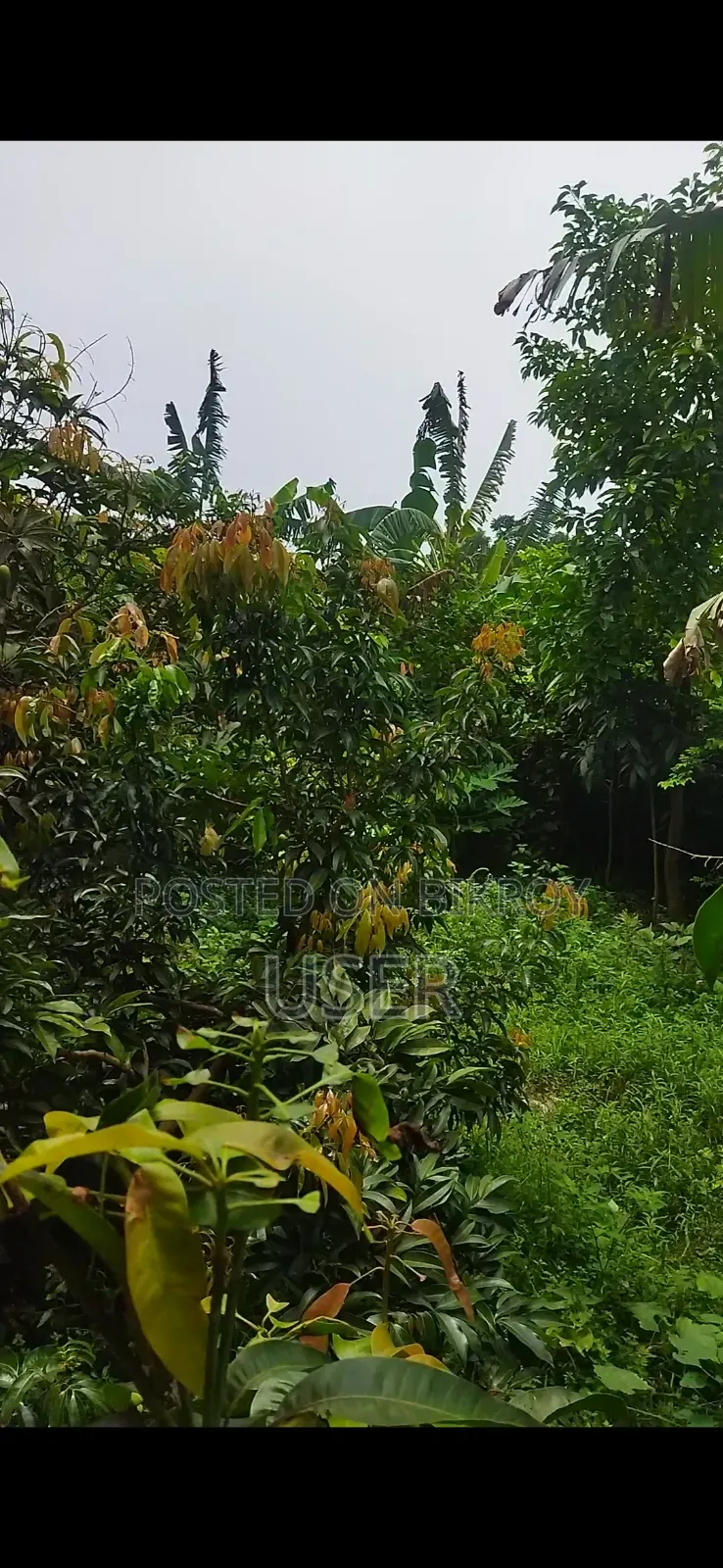 Furnished 2-Bedroom House with Land for Sale in Jhenaidah Sadar