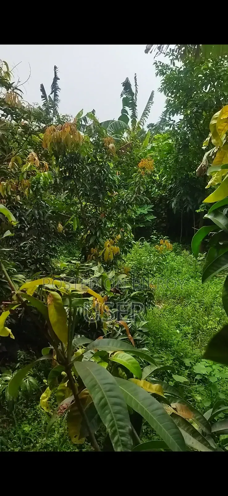 Furnished 2-Bedroom House with Land for Sale in Jhenaidah Sadar