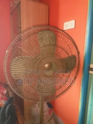 Pakistani Fan