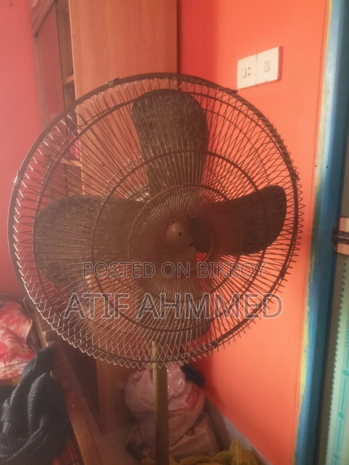 Pakistani Fan