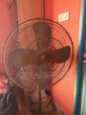 Pakistani Fan