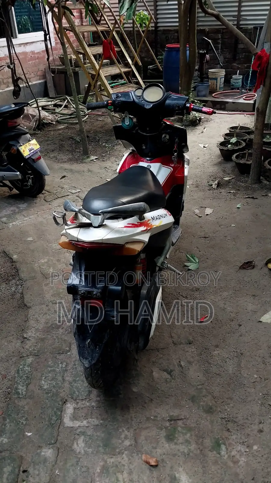 Bir Magnum 2024 Red