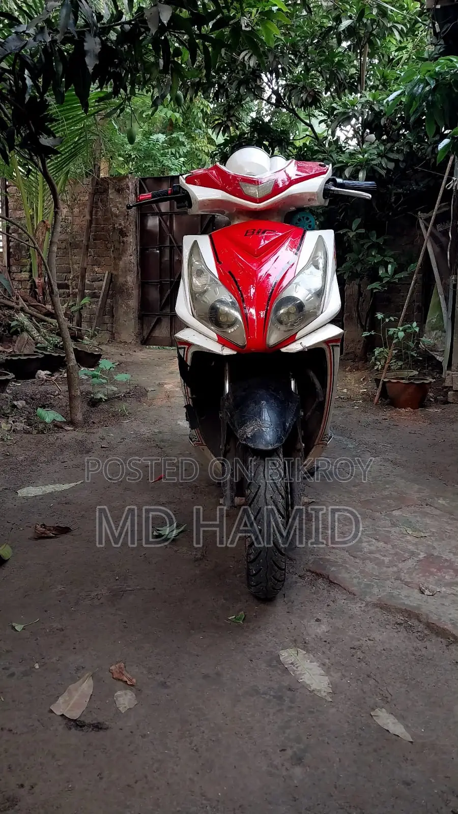Bir Magnum 2024 Red