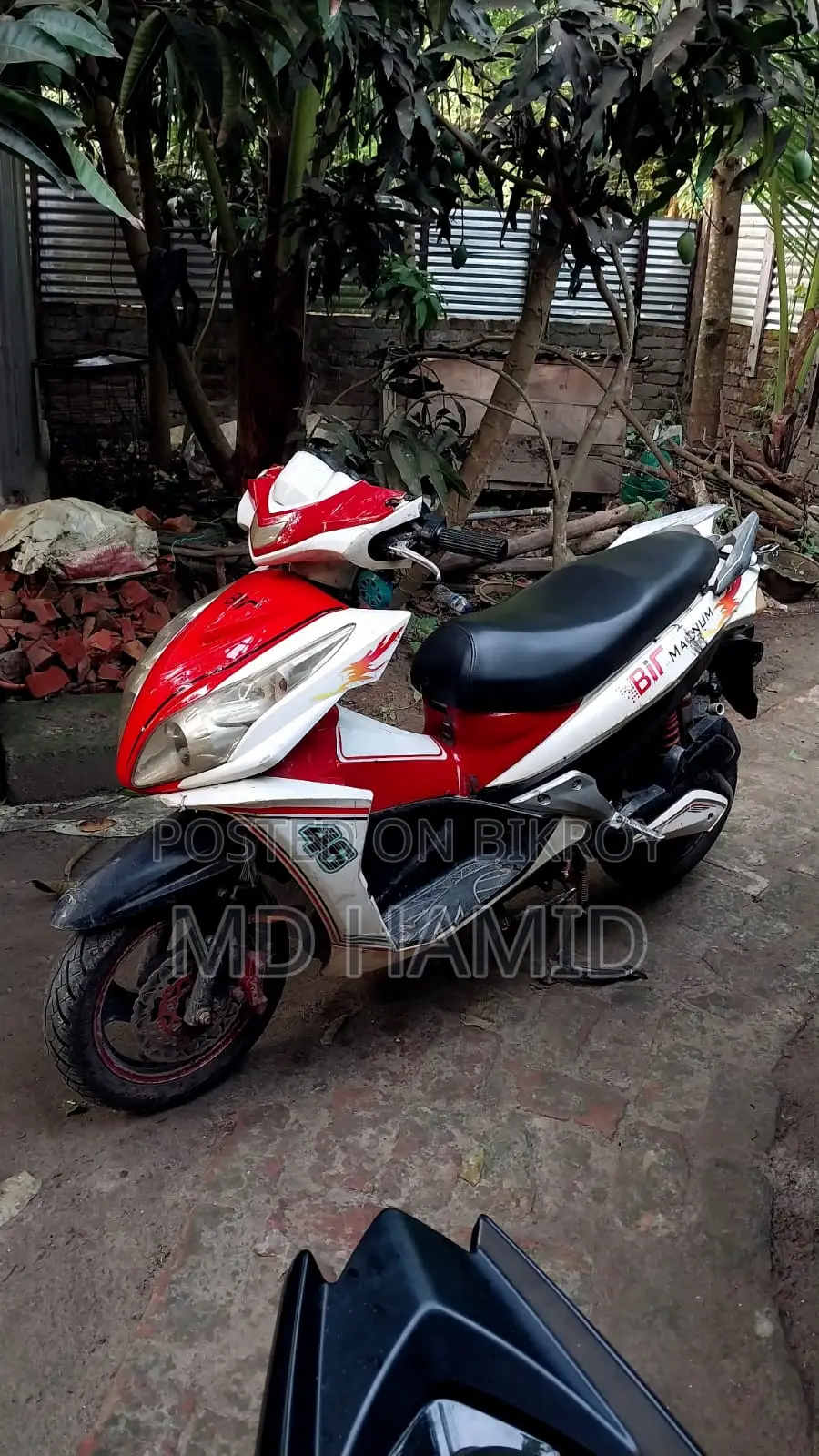Bir Magnum 2024 Red