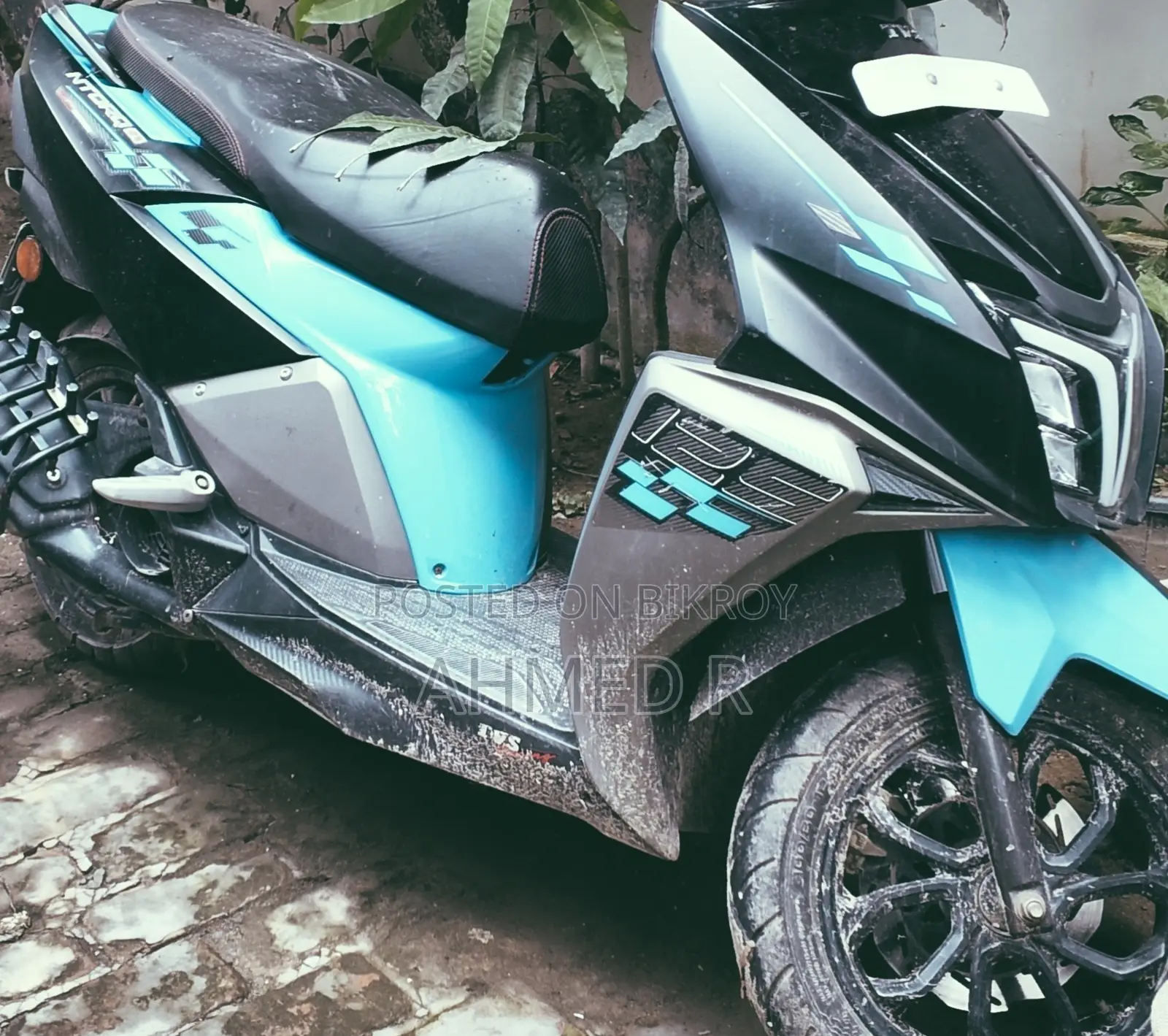 TVS Ntorq 125 2024 Blue