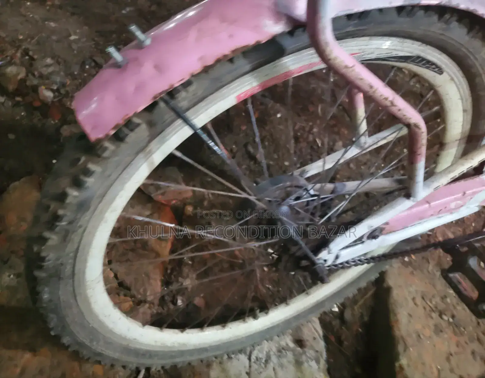 Phoenib 24 Size Ledis Cycle