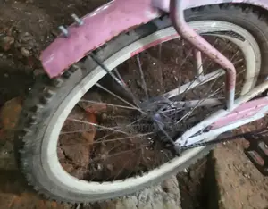 হিরো ২০ সাইজ বেবি সাইকেল নতুন কন্ডিশন