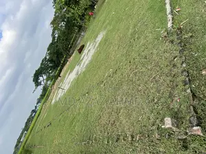 রূপসা বৃীজ এর টোল প্লাজা থেকে রূপসা ঘাট এর দিকে যেতে নীউ সীফুড এর পাশে