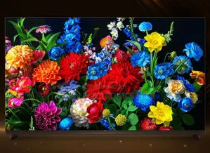 Sony Plus 43" Smart TV Full HD Supported