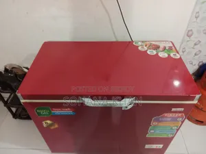 Singer Chest Fridge 205 Liter