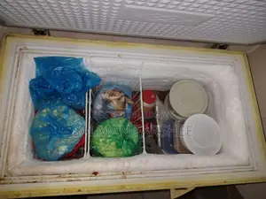 Lg Deep Freezer 209l Running Condition for Sale