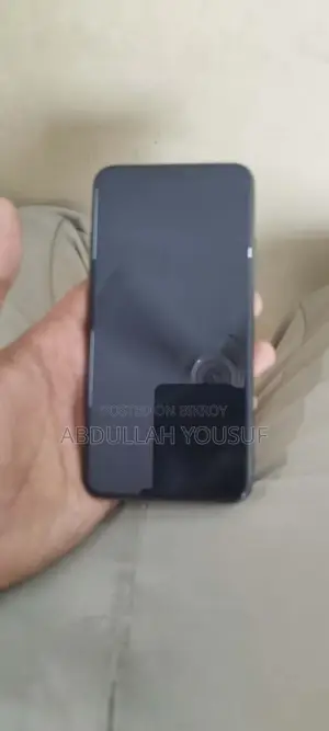 Apple iPhone 11 Pro Max 256 GB Gray