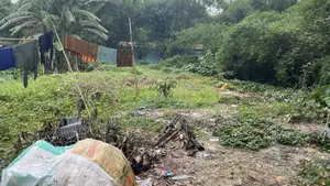 ভাড়ার জন্য জমি