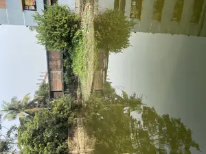 ভাড়ার জন্য জমি