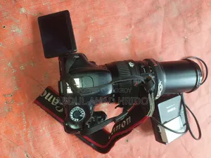 Canon 600d Best for Use With 70-300 Zoom Lens