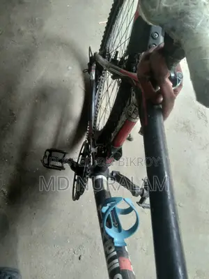 Running Cycle