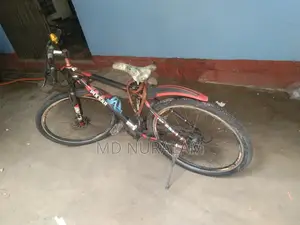 Running Cycle