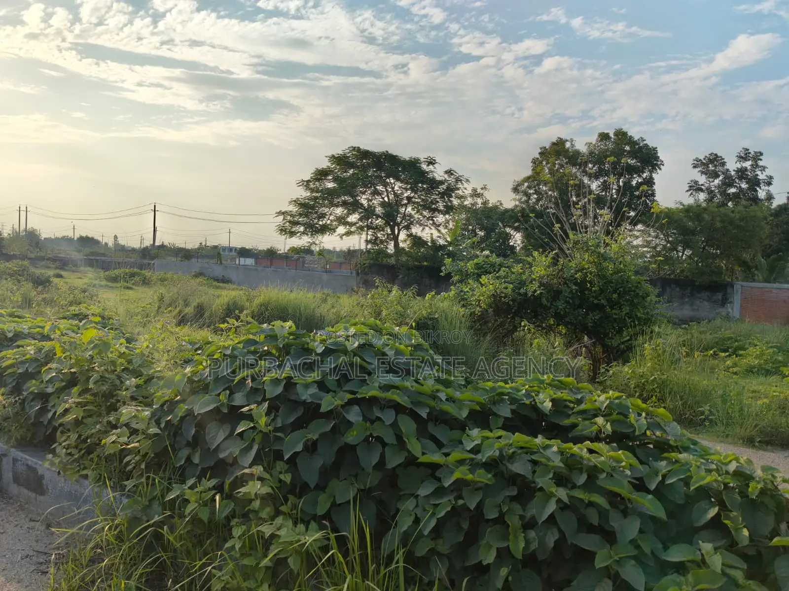 Near 160ft. East Facing, 5 Katha in Sec#20