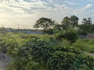 Near 160ft. East Facing, 5 Katha in Sec#20