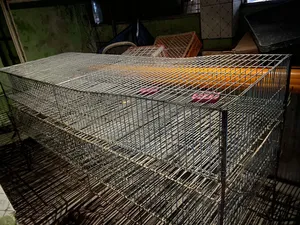 কোয়েল পাখির খাচা
