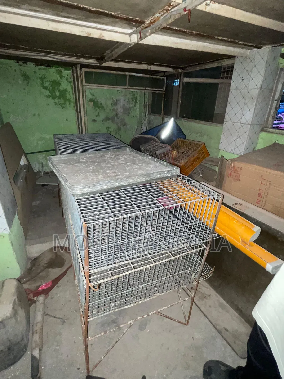 কোয়েল পাখির খাচা