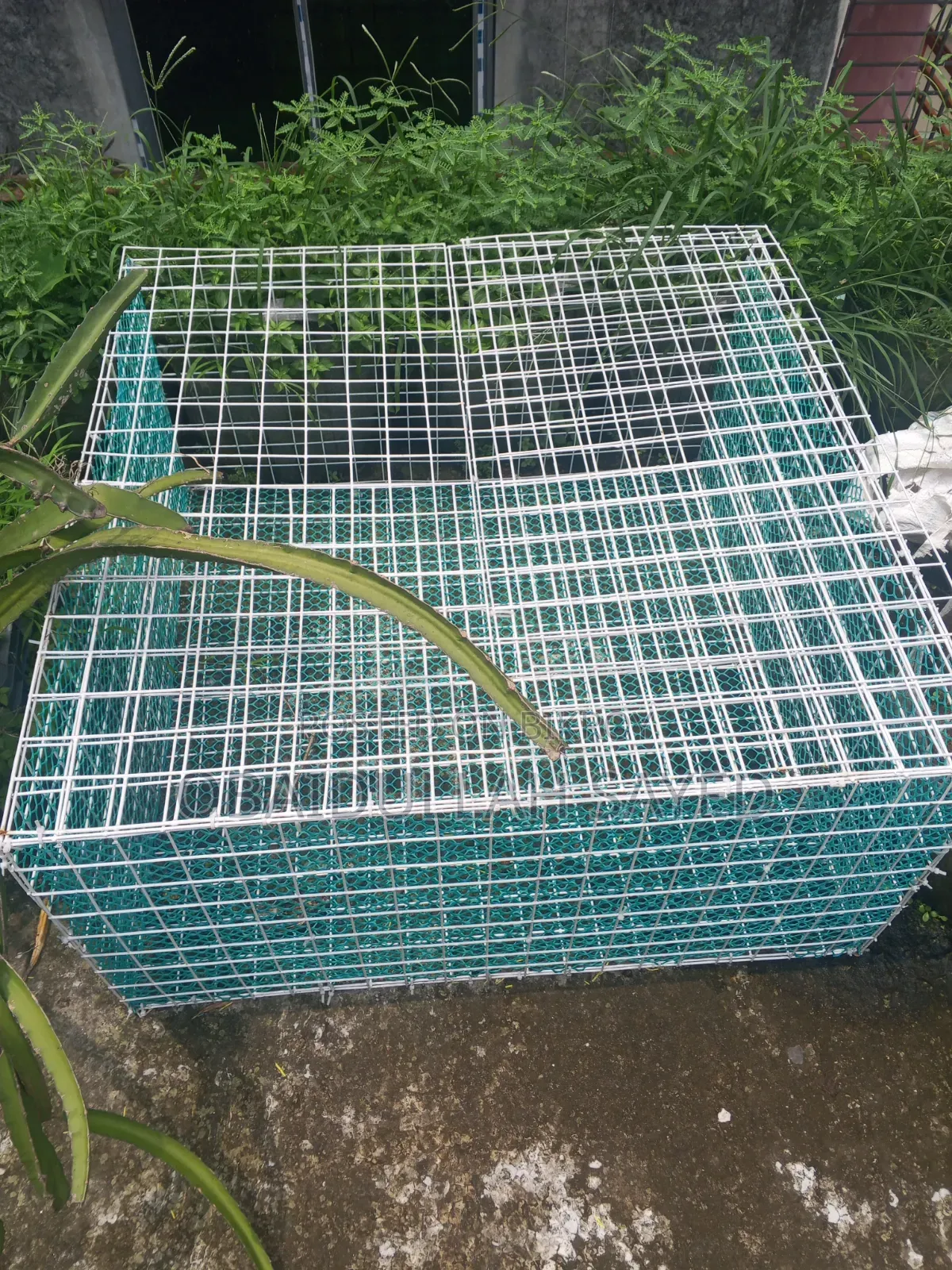 Ready Cage