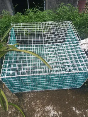 Ready Cage