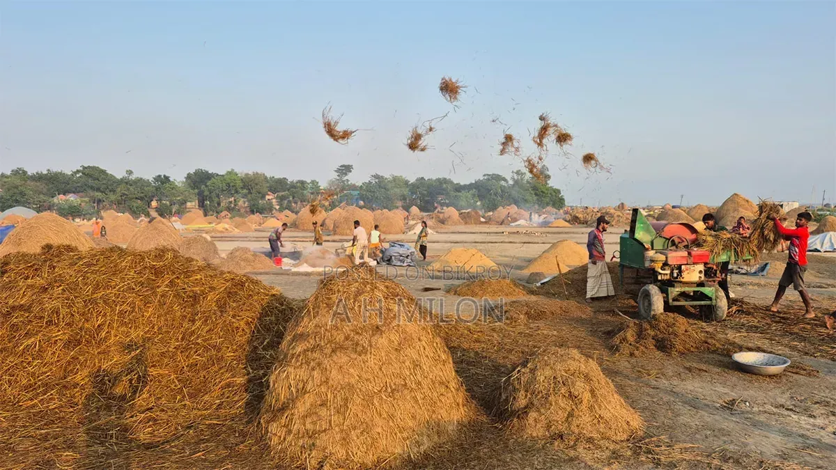 Straw for sale