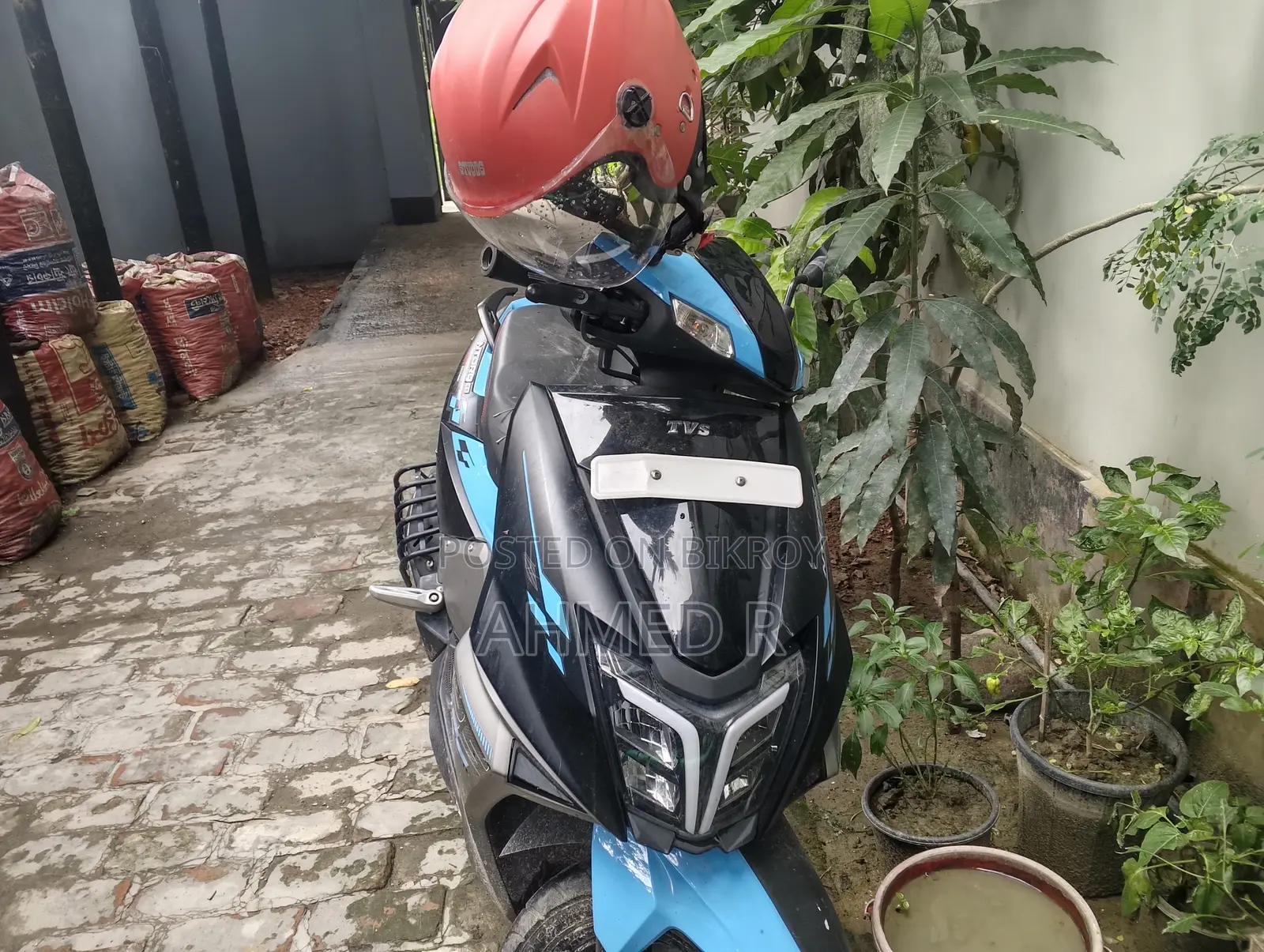 TVS Ntorq 125 2024 Blue