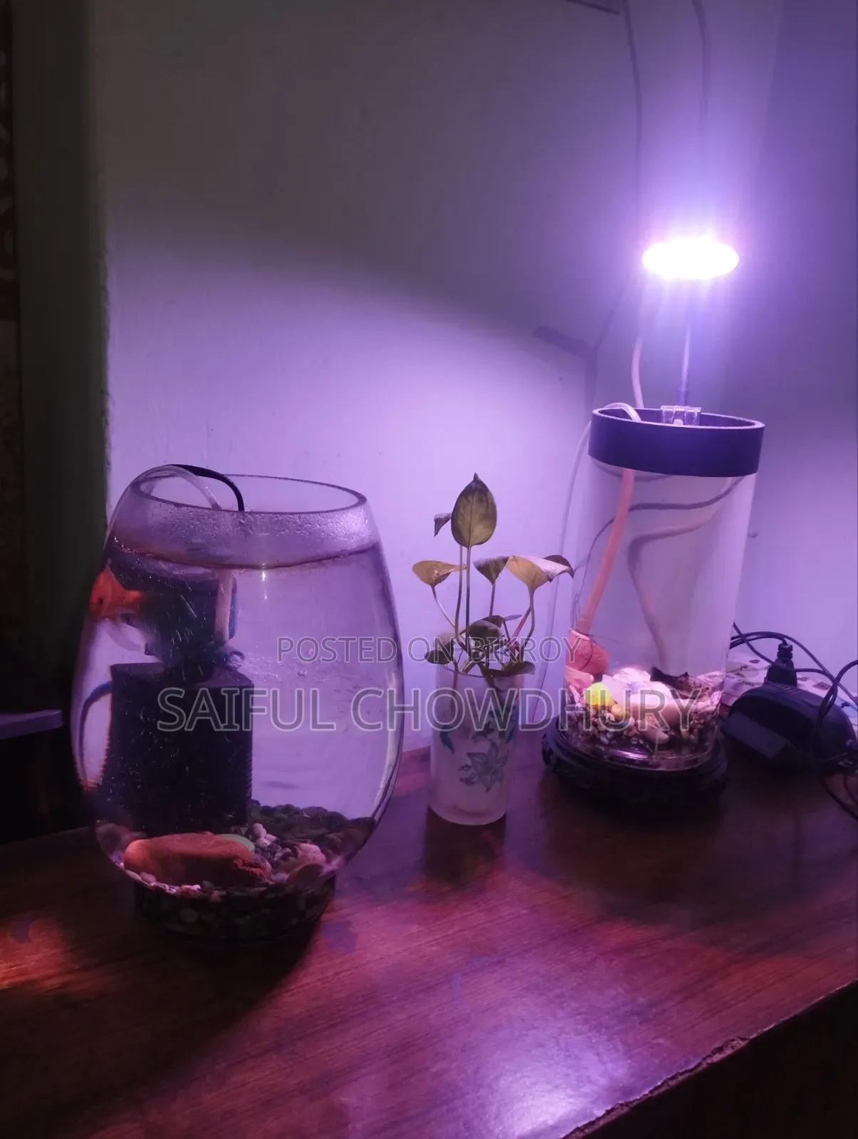 Aquarium Full Setup