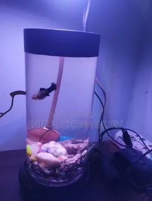 Aquarium Full Setup